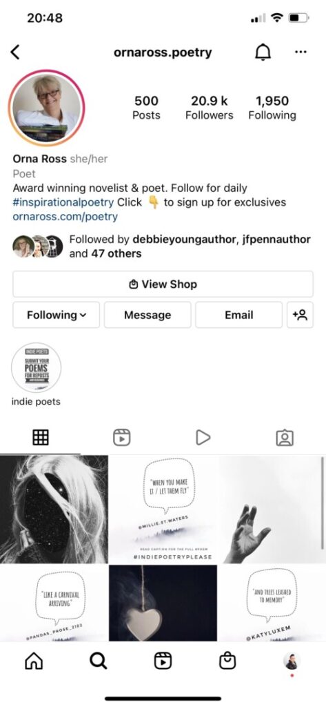 Orna Ross screen shot of indie author instagram profile