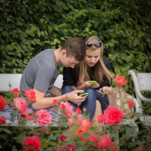 Young couple reading their cellphones on a park bench