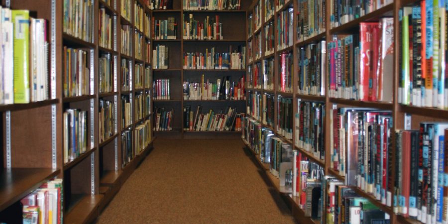 Reaching Readers Via Libraries: Important Feedback From Jane Davis