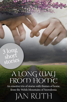 Cover of Jan Ruth's collection of "long short" stories