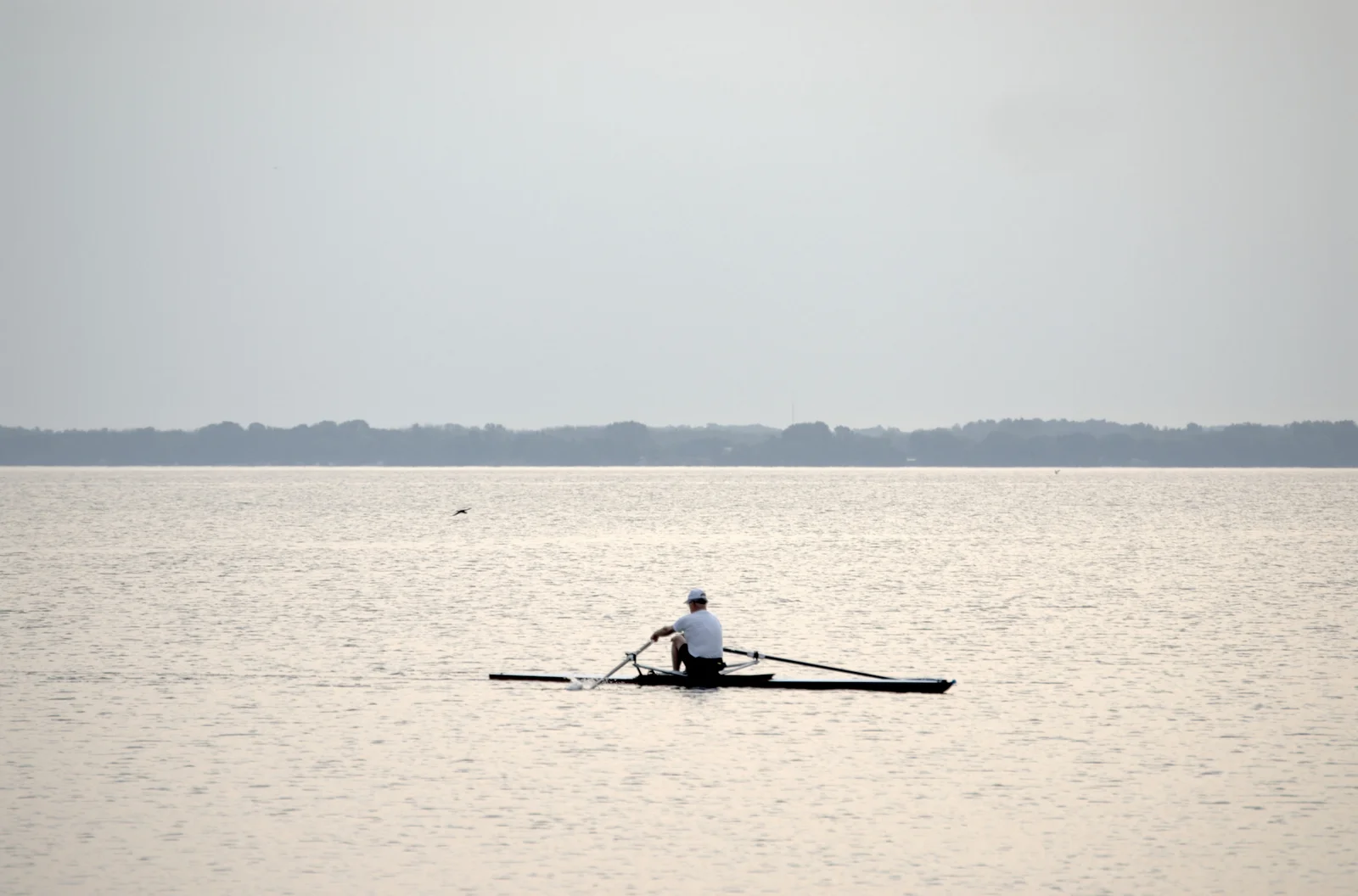 Photo Of A Small Rowing Boat