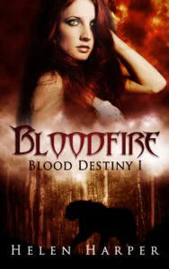 Cover of Bloodfire