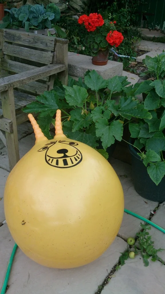 photo of orange spacehopper in the garden