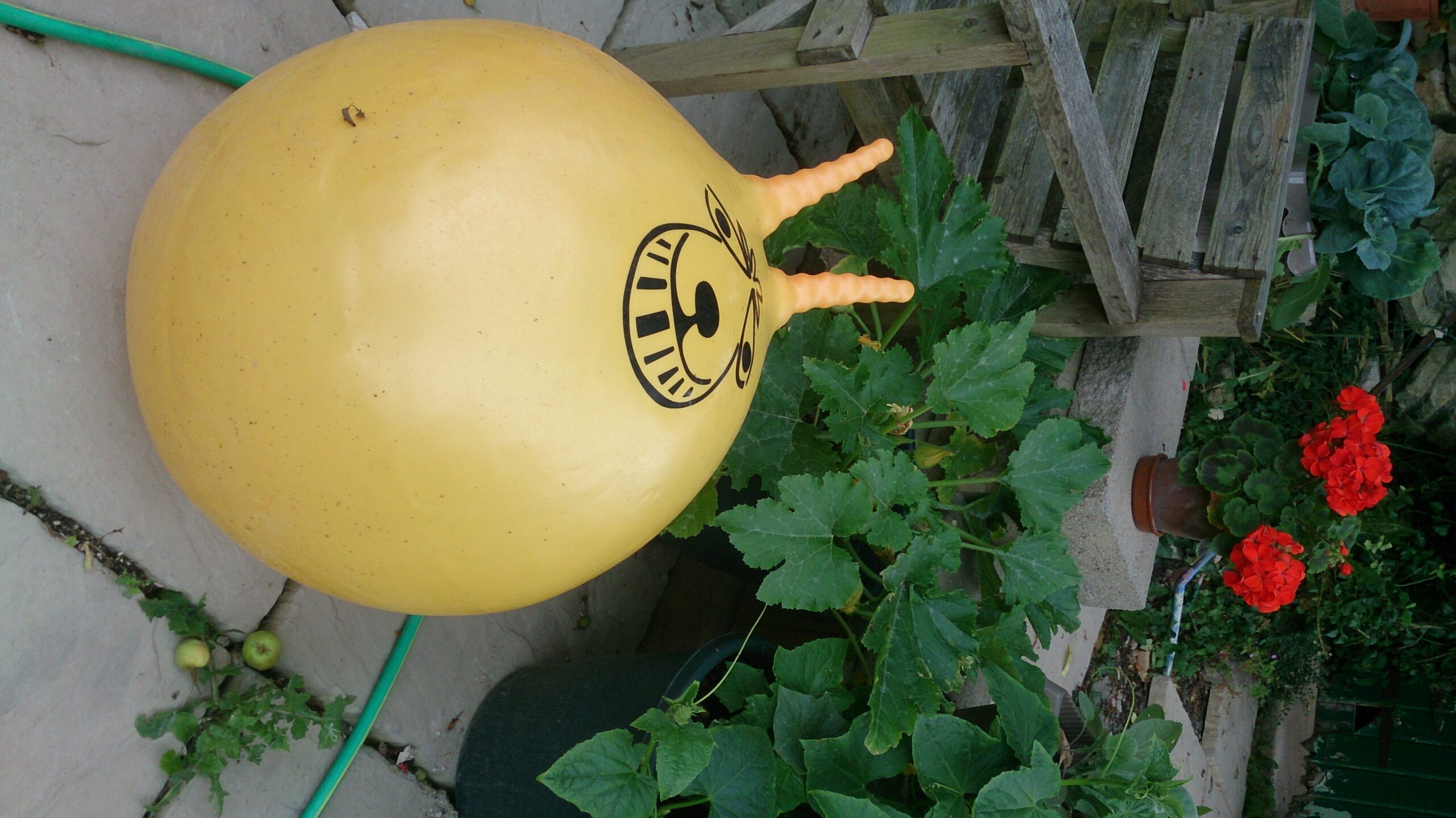 Photo Of Orange Spacehopper In The Garden