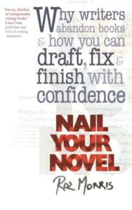 Cover of nail your novel