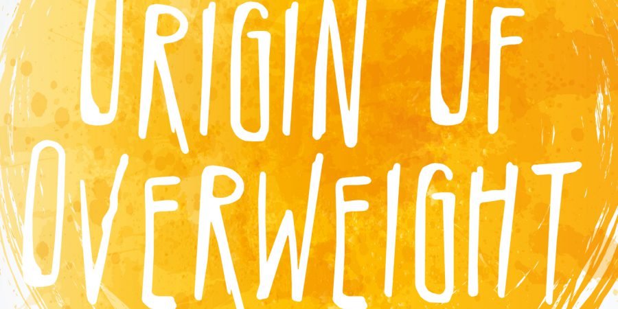 Cover Of The Origin Of Overweight