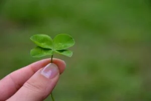four leafed clover