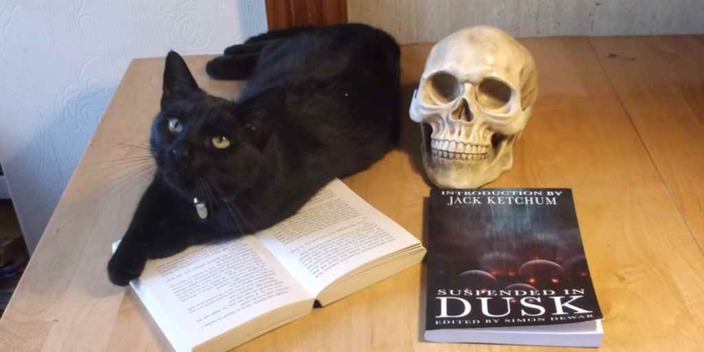 Cat with skull and horror story book