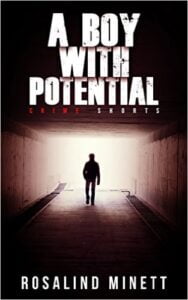 Cover of A Boy with Potential