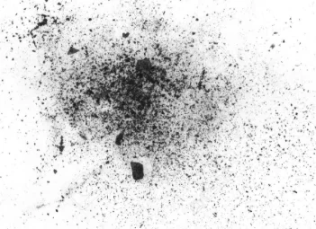 Dust settling after Indie Author Fringe