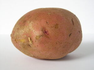 photo of a potato
