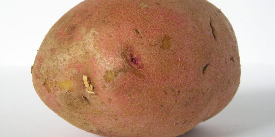 Photo Of A Potato