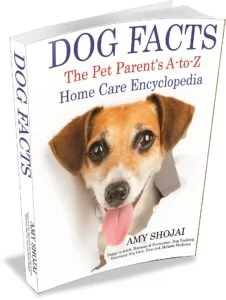DogFacts