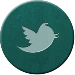 twitter bird icon