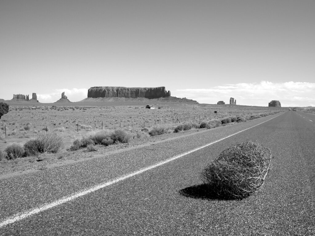 picture of tumbleweed blowing down a deserted road
