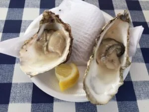 short fiction proves you don't have to be big to be delicious