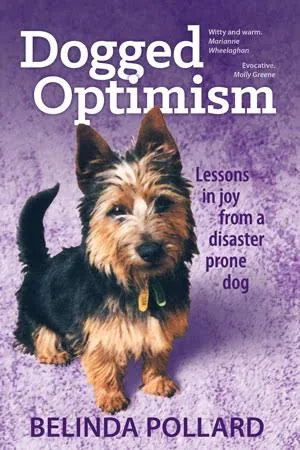 Cover of Dogged Optimism