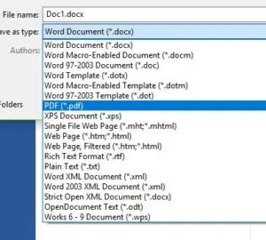 screenshot of pdf options