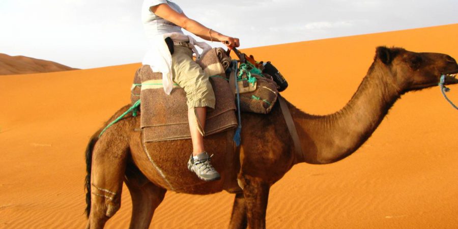 Photo Of Author Riding A Camel