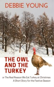 cover of The Owl and the Turkey