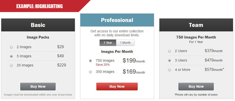 Shutterstock uses multiple highlighting techniques to emphasize the Professional option.