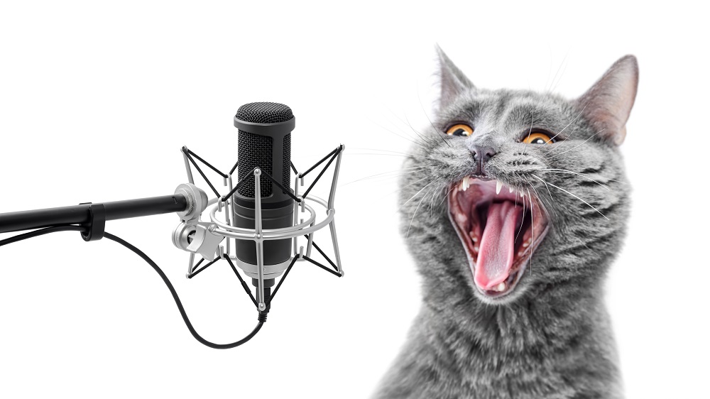 Image Of Cat At Microphone