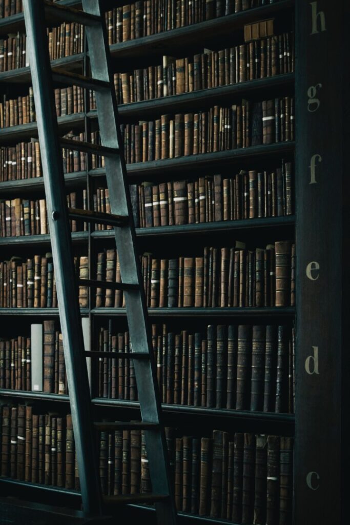 image of large bookshelves filled with books and a ladder